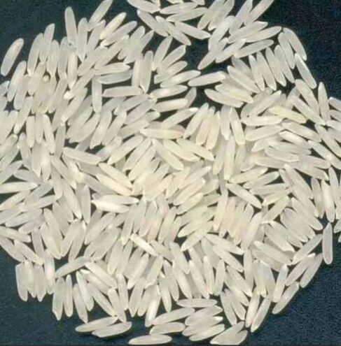 Basmati Rice Exporters in India - Maharashtra - Mumbai ID1612846