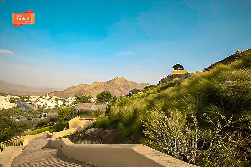 Cultural  Scenic Hatta Mountain Full Tour - Texas - Dallas ID1618467 4