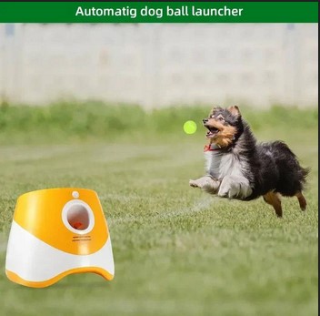 Automatic Dog Ball Launcher Toy - Connecticut - Stamford ID1598723