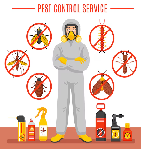 Sornavalli Pest Control - Tamil Nadu - Chennai ID1613148