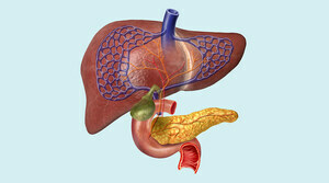 Expert Liver and Pancreas Care in Ludhiana - Punjab - Ludhiana ID1599764