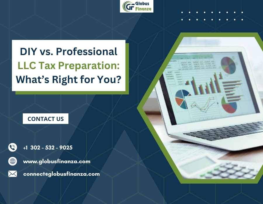 DIY vs Professional LLC Tax Preparation Whats Right for - Delaware - Wilmington ID1586479