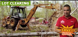 Lot Clearing NJ  Amazing Tree Services - New Jersey - Jersey City ID1621031