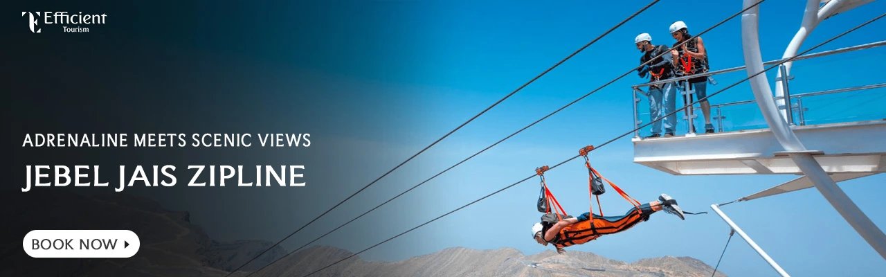 Fly High Over Jebel Jais - Texas - Dallas ID1617161