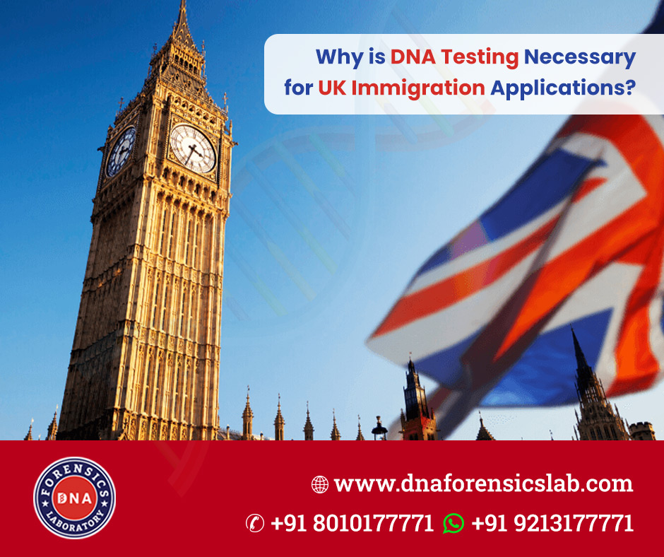 DNA Testing for UK Immigration Understanding the Method - Delhi - Delhi ID1586605