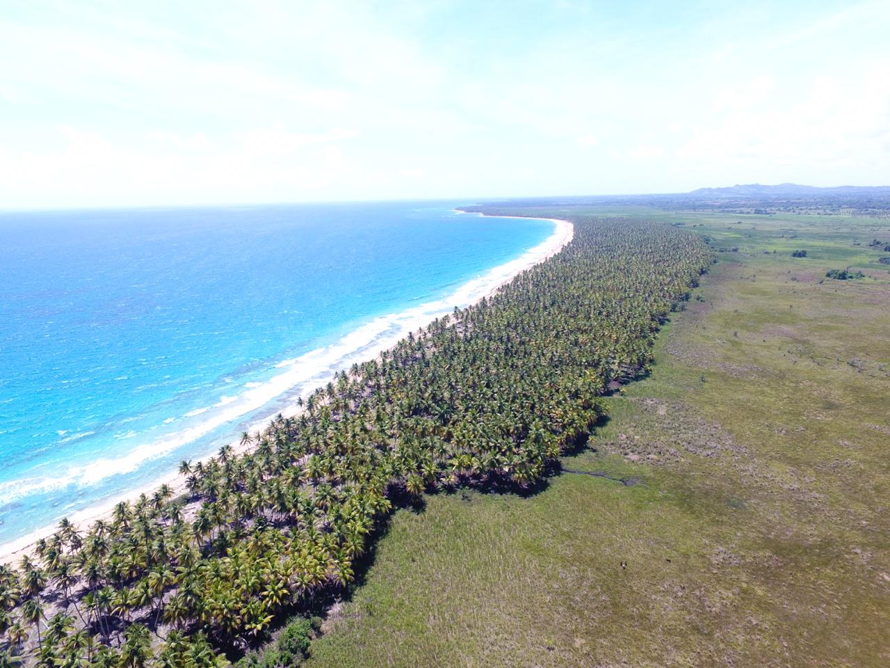 Punta Cana Lo Tiene Todo!!!! - New York - New York ID1611014 3