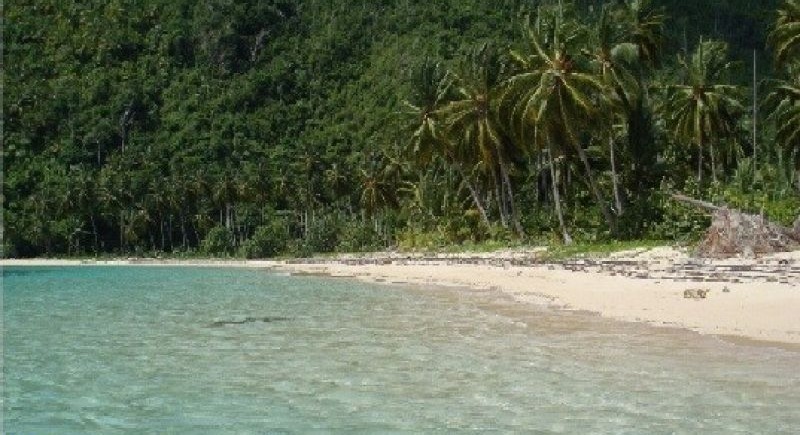 Terrenos Lineales A La Playa Las Terrenas! - New York - New York ID1610993 4