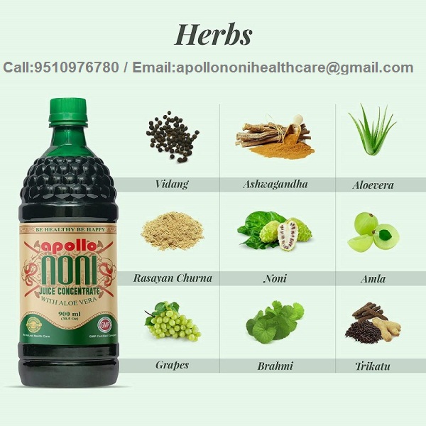 Noni Juice Benefits - Gujarat - Ahmedabad ID1518356 3