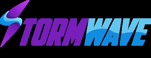 Best SEO Company in Florida for Businesses Seeking Real Visi - Florida - Saint Petersburg ID1618643