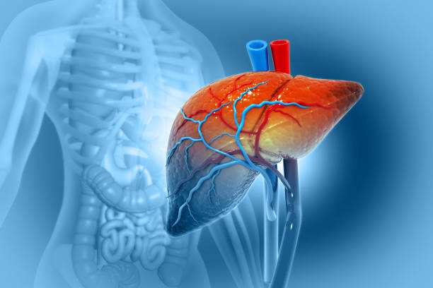 Experienced Liver Specialist Doctor in Ludhiana - Punjab - Ludhiana ID1613192
