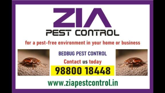 Zia Pest Control  Bed Bugs Treatment  Keep Your Home Pest - Karnataka - Bangalore ID1618575