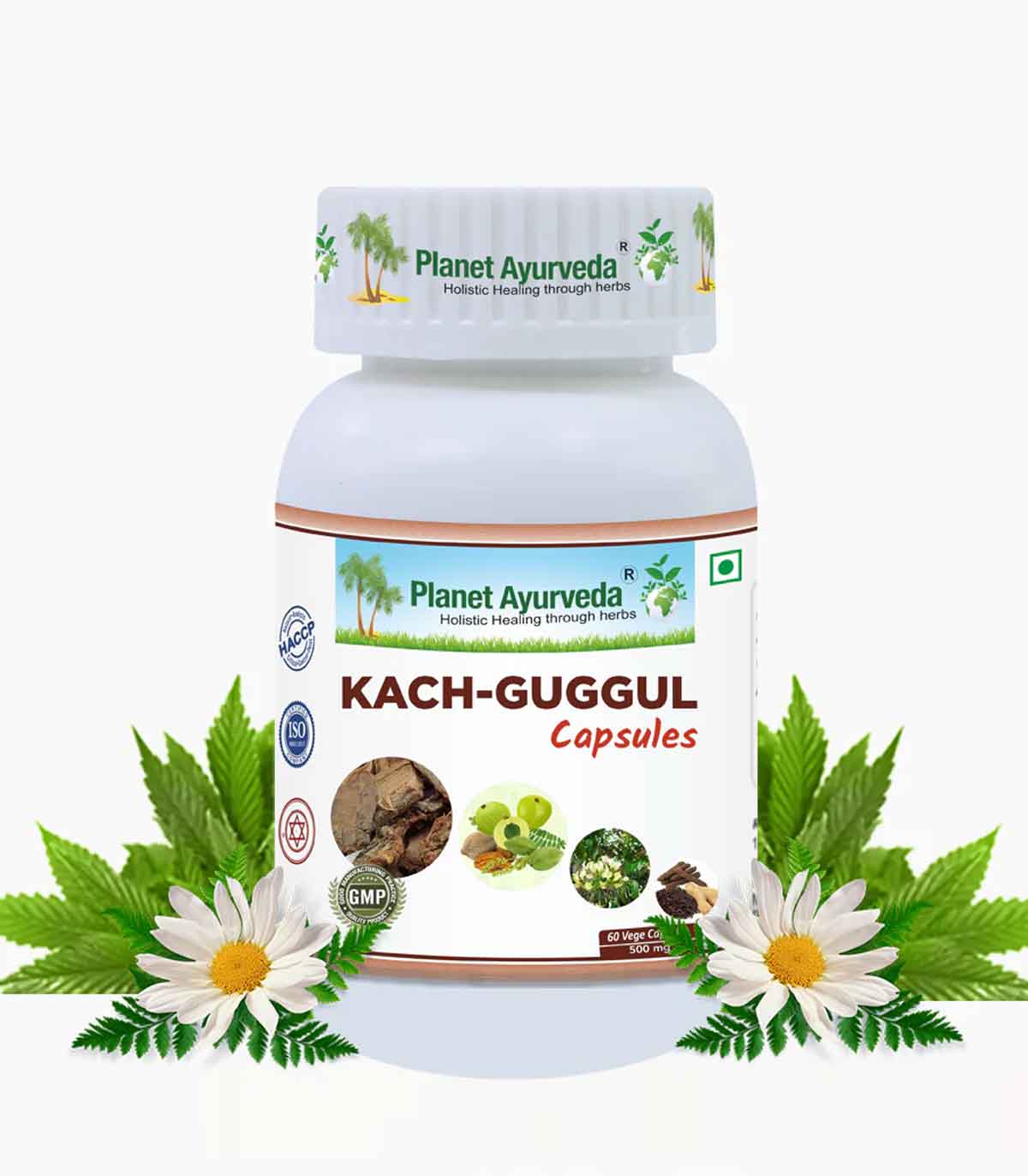 Kach Guggul Capsules  Health Benefits and Medicinal Uses  - Delhi - Delhi ID1586446 1