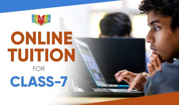 Private Tuition Classes for Class 7 Student A Helping Hand  - Arkansas - Little Rock  ID1590171