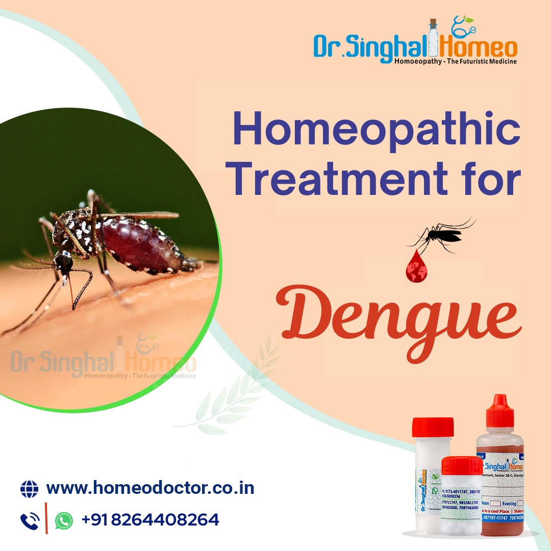 The Healing Power of Homeopathic Medicine for Dengue - Chandigarh - Chandigarh ID1516517