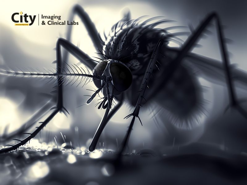 Malaria Symptoms and Blood Test Name You Should Know - Delhi - Delhi ID1608155