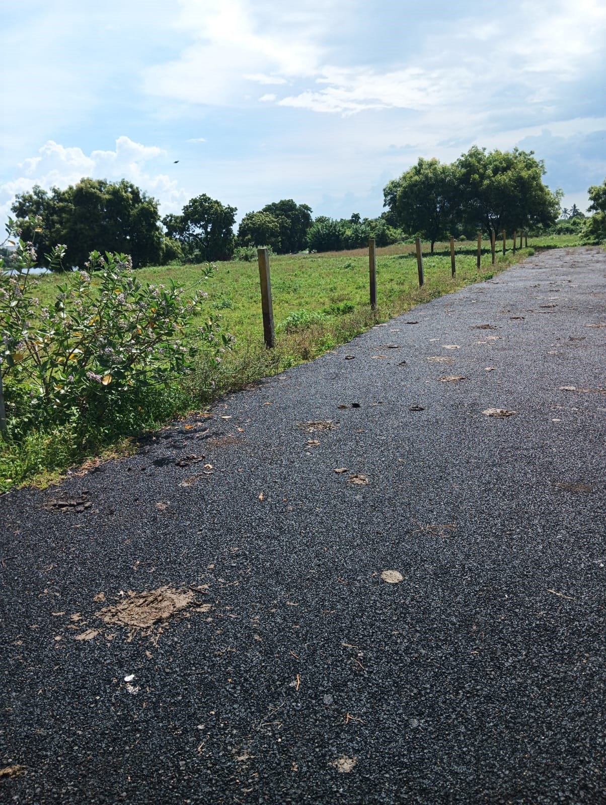     DTCP AND RARA APPROVED PLOTS FOR SALE AT VEPPAMPATTU - Tamil Nadu - Chennai ID1607500 3