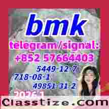 BMK Glycidic Acid (sodium salt) CAS 5449-12-7