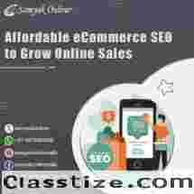 Affordable eCommerce SEO to Grow Online Sales