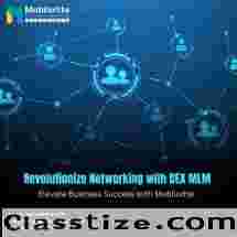 Revolutionize Your Crypto Business with DEX MLM Development Services