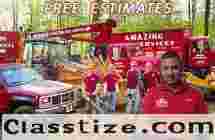 Tree Care in NJ – Amazing Tree Services