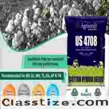 Hybrid Rice Seed Manufacturer