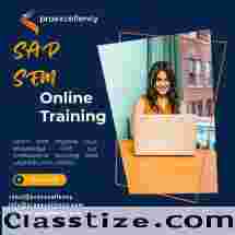 Online SAP SEM Course for Professional Excellence