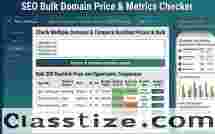SEO Bulk Domain Checker | Check Backlink Prices