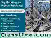 Secure Your Balcony with Invisible Grills in Jaipur