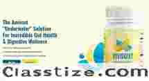Vivo Gut Dietary Supplement: Advanced Digestive Health Support