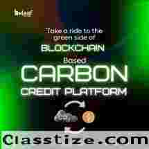 Blockchain carbon credit platform development