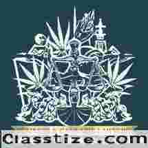 Business & Cannabis Lawyer Canada | 175+ 5-Star Reviews