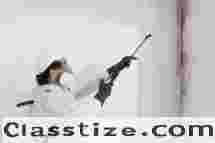 Emergency Mold Removal Elizabeth