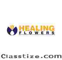 . Reliable Bach Flower Practitioner Near Me United Kingdom | Healing Flower Life