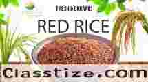  Red Rice Red Rice 