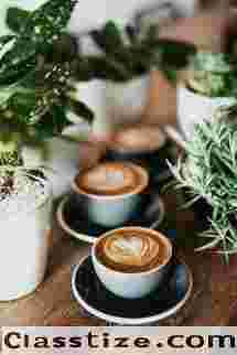 Famous Health Cafe in Kolkata – Fresh & Nutritious Bites