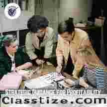 Strategic Guidance for Profitability with Virtual Chief Financial Officer 