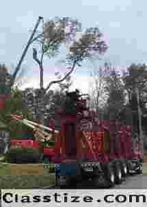 Commercial Tree Service in Bergen County, NJ – Amazing Tree Services