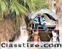 Tours | Palm springs | Old Covered Wagons