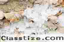 Smithfield mold remediation