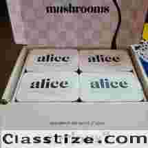  Alice Mushroom Chocolate UK