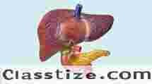 Specialist in Liver & Pancreatic Disorders – Dr. Nitin Behl, Ludhiana