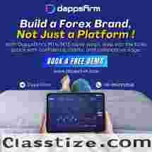 Start Your FX Venture with MetaTrader Clone Script Today
