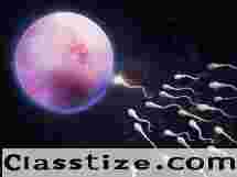 Advanced Fertility Doctor in Abu Dhabi for Reproductive Care