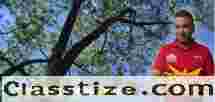 Tree Trimming in NJ – Amazing Tree Services