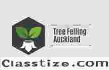 tree felling auckland