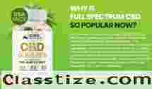 Is Global Health Farms Pain Relief suitable for older adults?