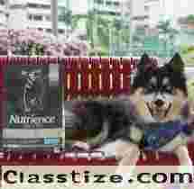 Best Dog Food for Large Breed Dogs in India