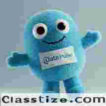 Cuddly Perfection: Custom Plush Toys in Your Exact Colors
