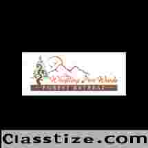  The Whistling Pine Woods – Where Nature Whispers & Memories Echo