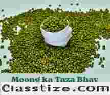 Today’s Green Gram Mandi Price & Daily Moong Rates